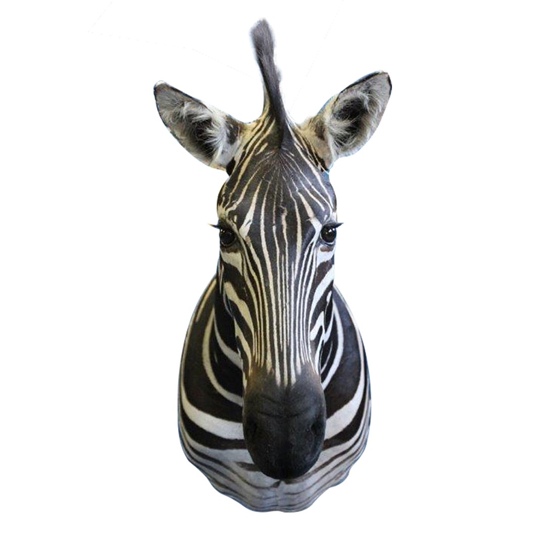 Zebra Shoulder Mount ZSMA3 - Image 2