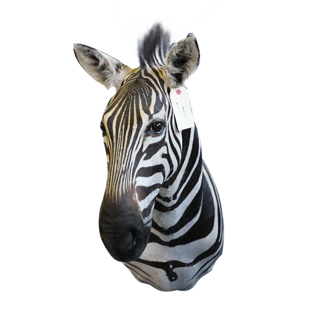 Zebra Shoulder Mount ZSMA4 - Image 2