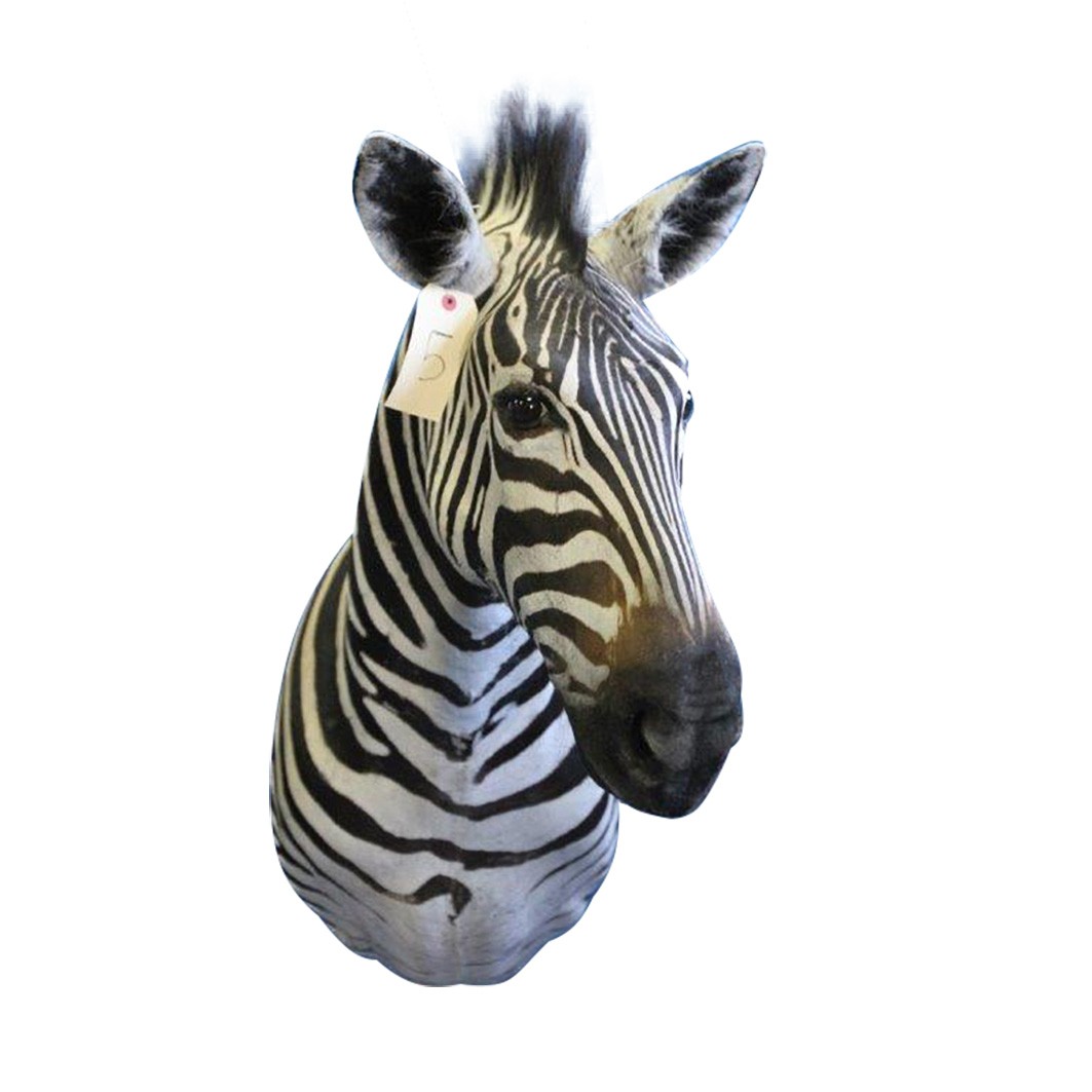 Zebra Shoulder Mount ZSMA5 - Image 2