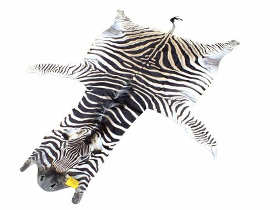 Zebra Skin For Sale - Z01 - Image 2
