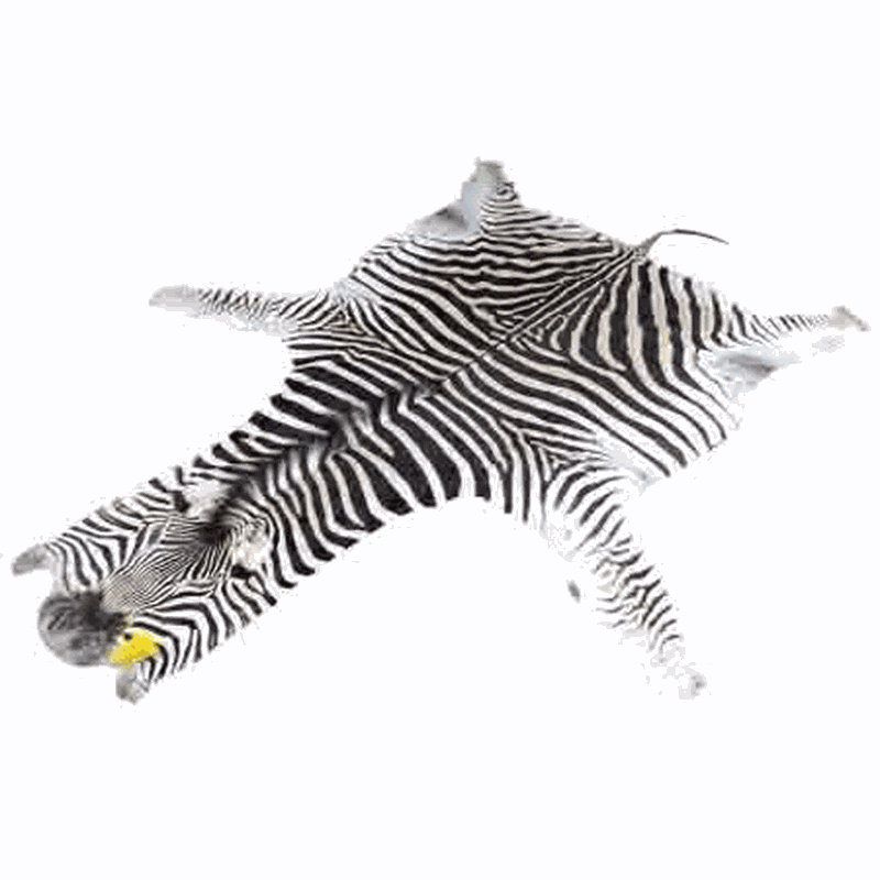 Zebra Skin For Sale - Z02