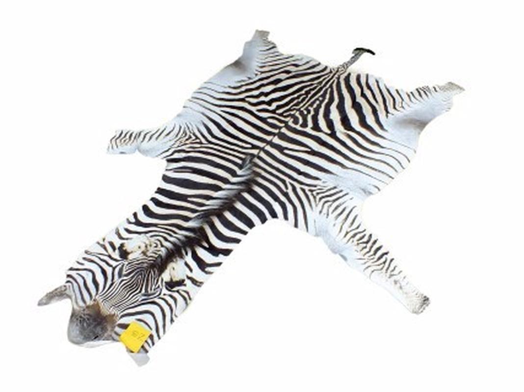 Zebra Skin For Sale - Z03 - Image 2