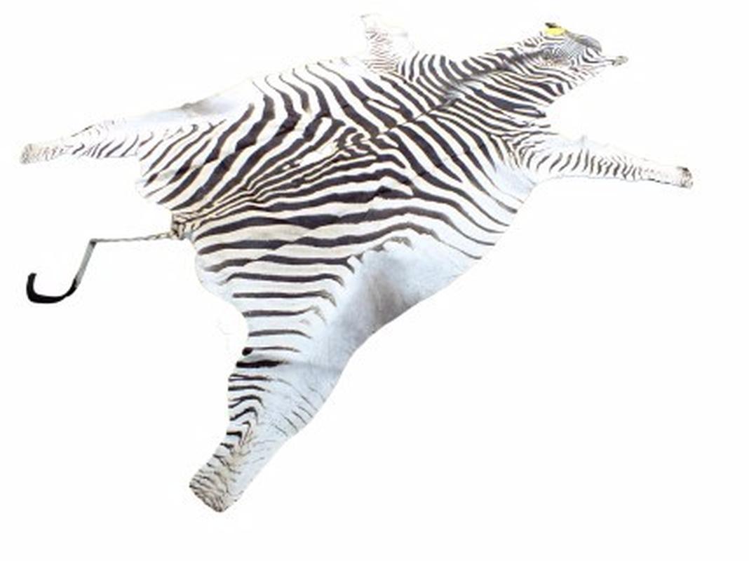Zebra Skin For Sale - Z03 - Image 3
