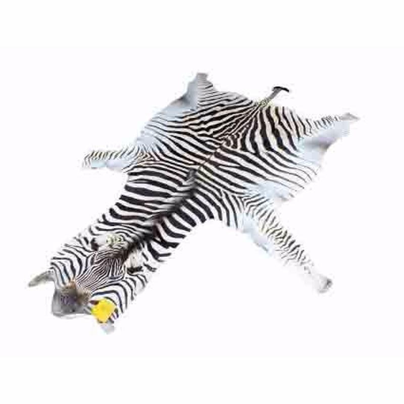 Zebra Skin For Sale - Z03