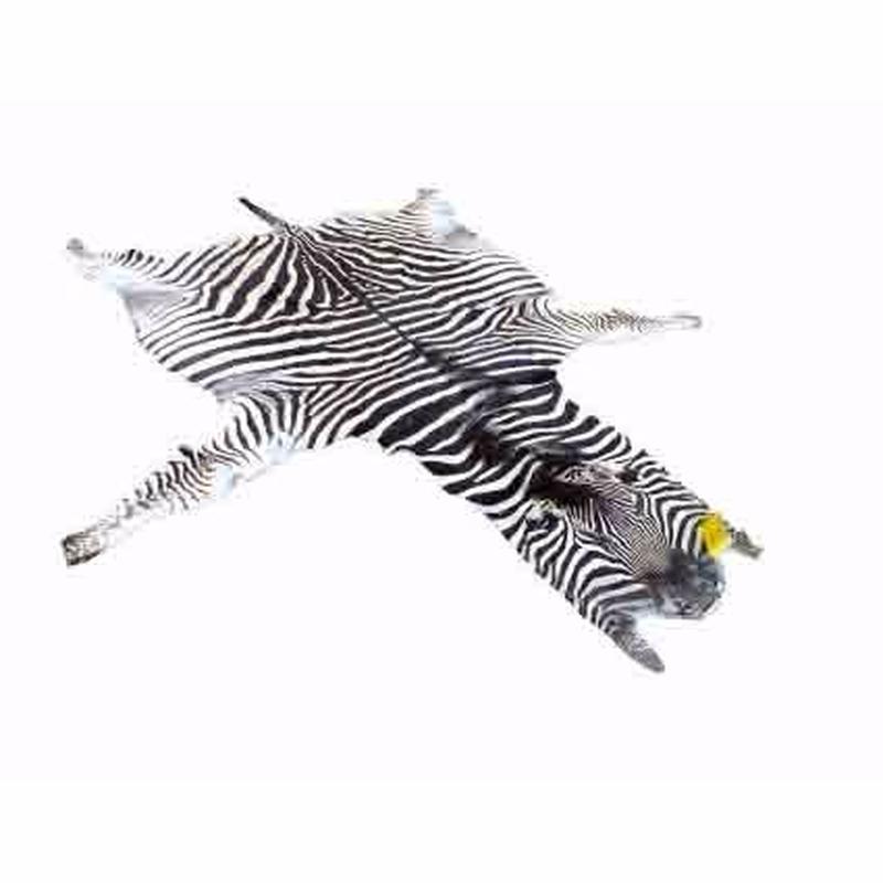 Zebra Skin For Sale - Z04