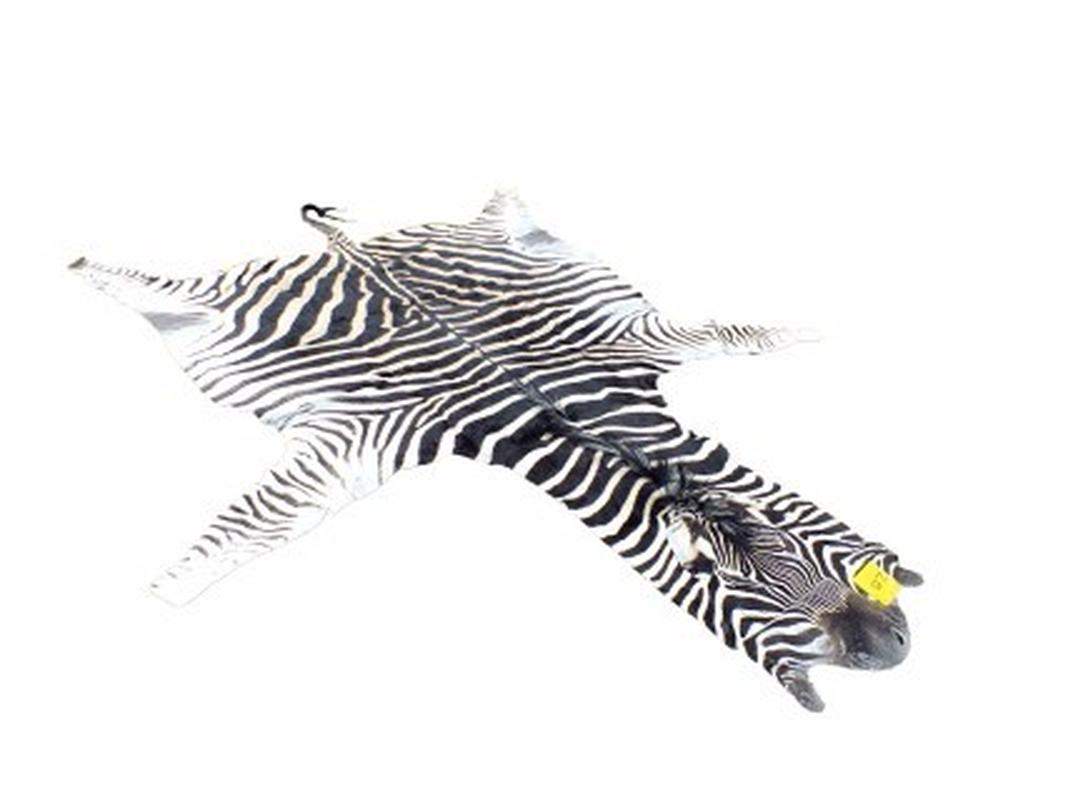 Zebra Skin For Sale - Z05 - Image 3