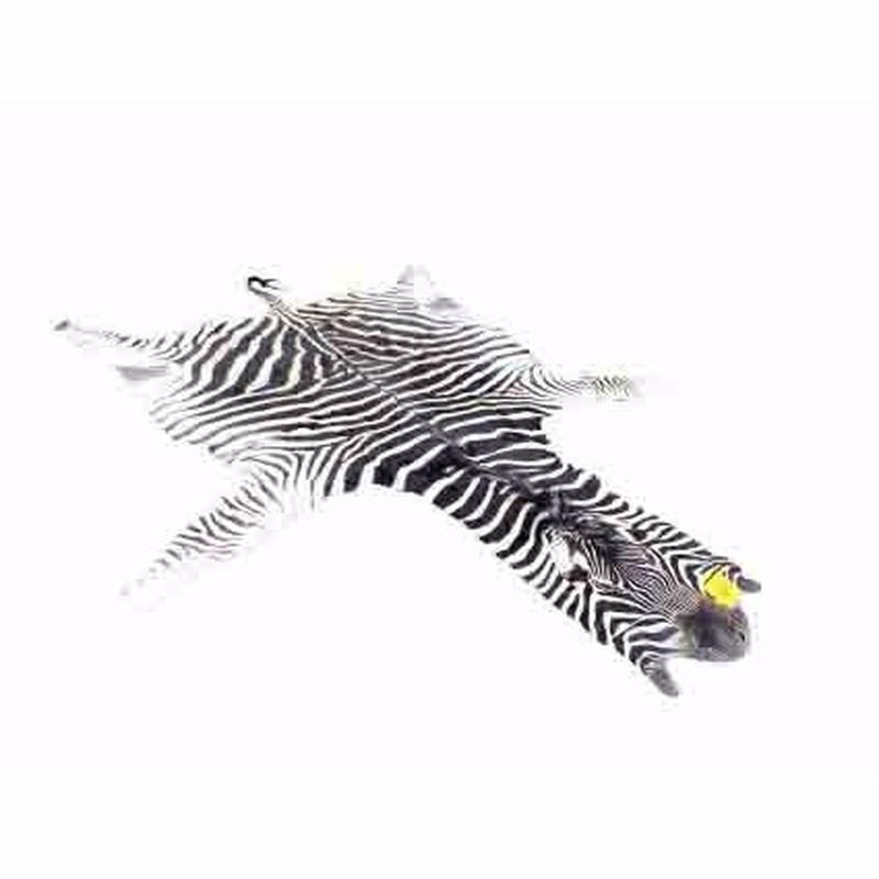 Zebra Skin For Sale - Z05