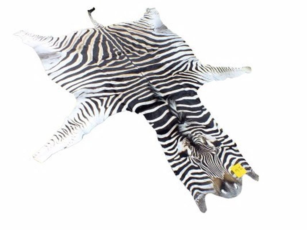 Zebra Skin For Sale - Z06 - Image 2