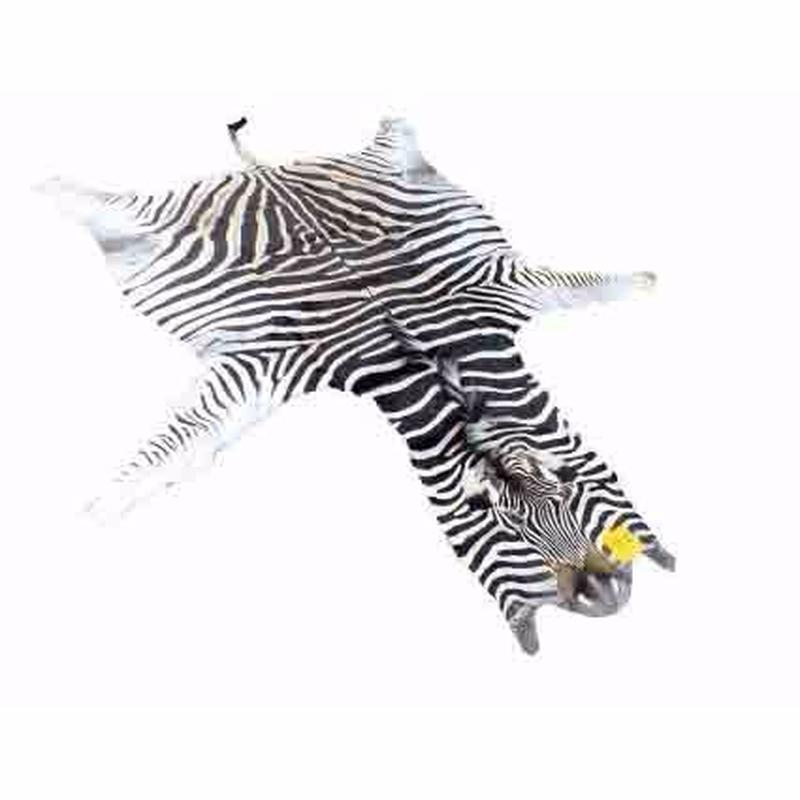 Zebra Skin For Sale - Z06
