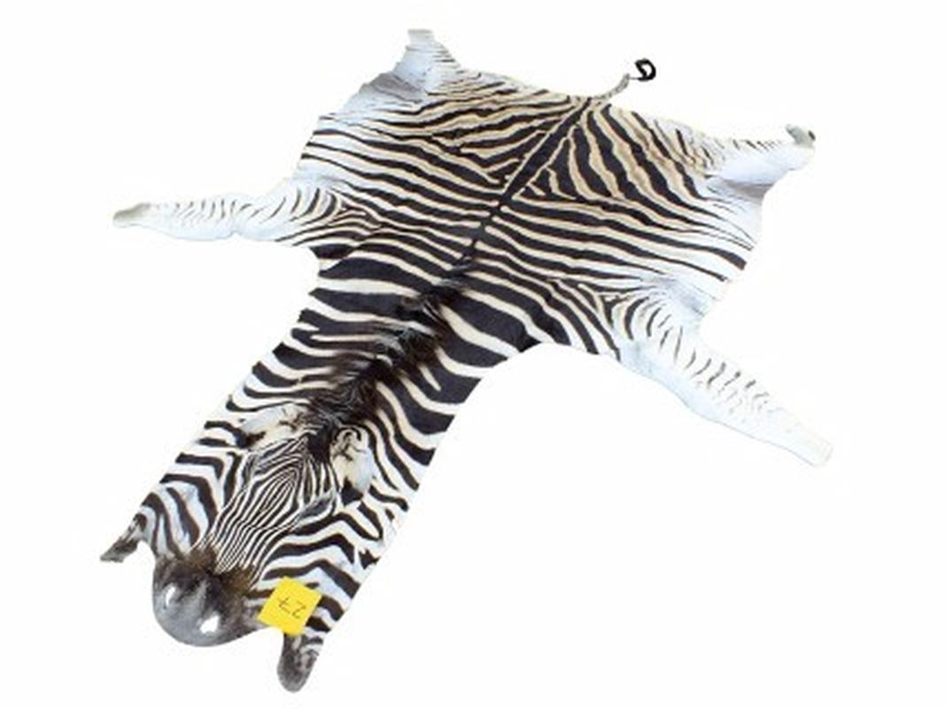Zebra Skin For Sale - Z07 - Image 2