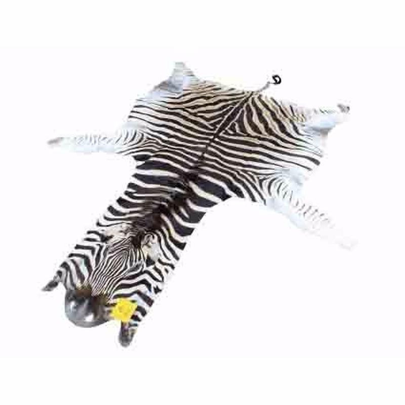 Zebra Skin For Sale - Z07