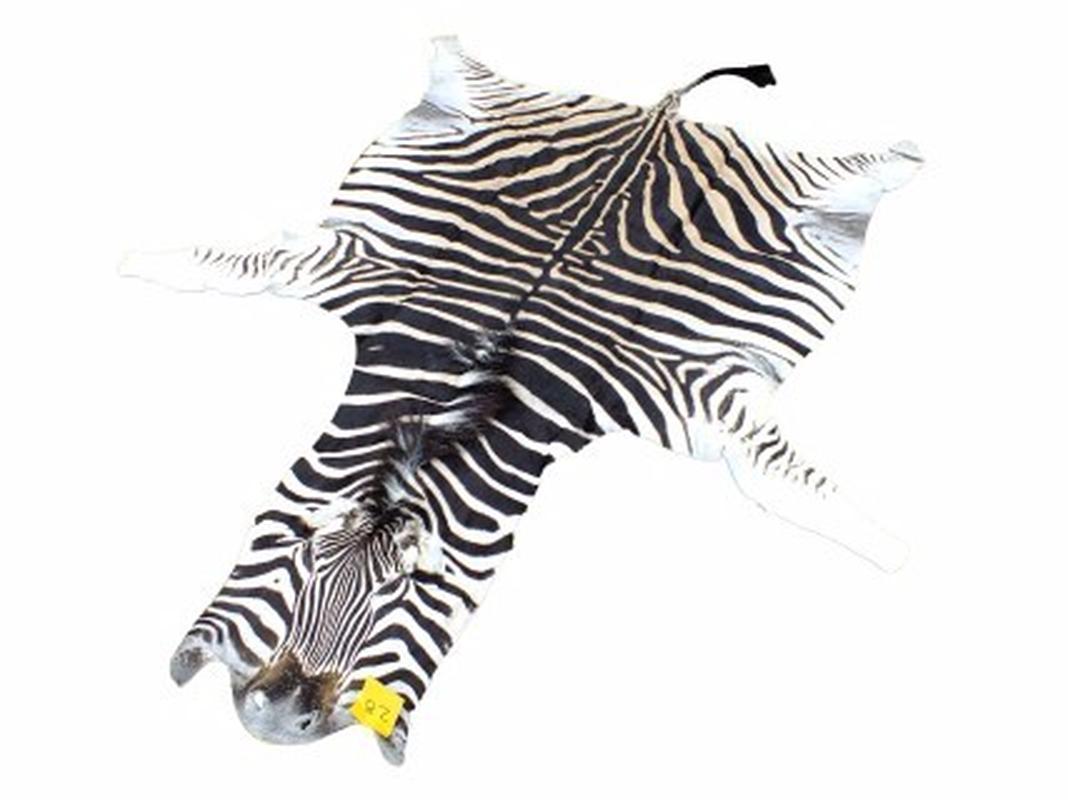 Zebra Skin For Sale - Z08 - Image 2