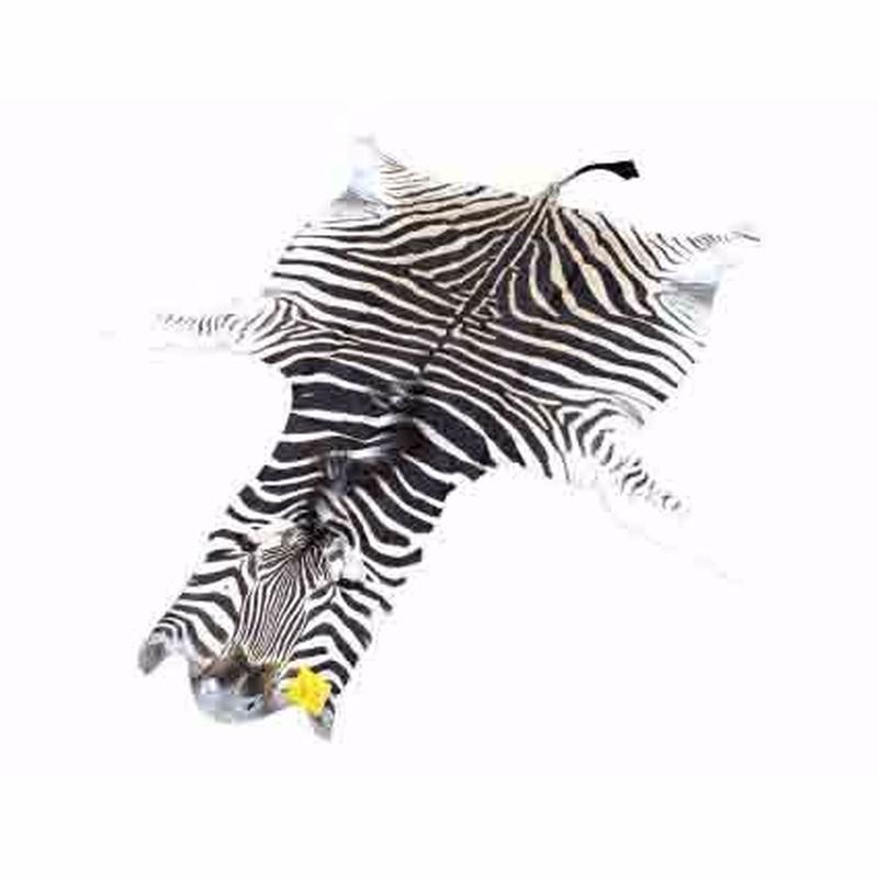 Zebra Skin For Sale - Z08