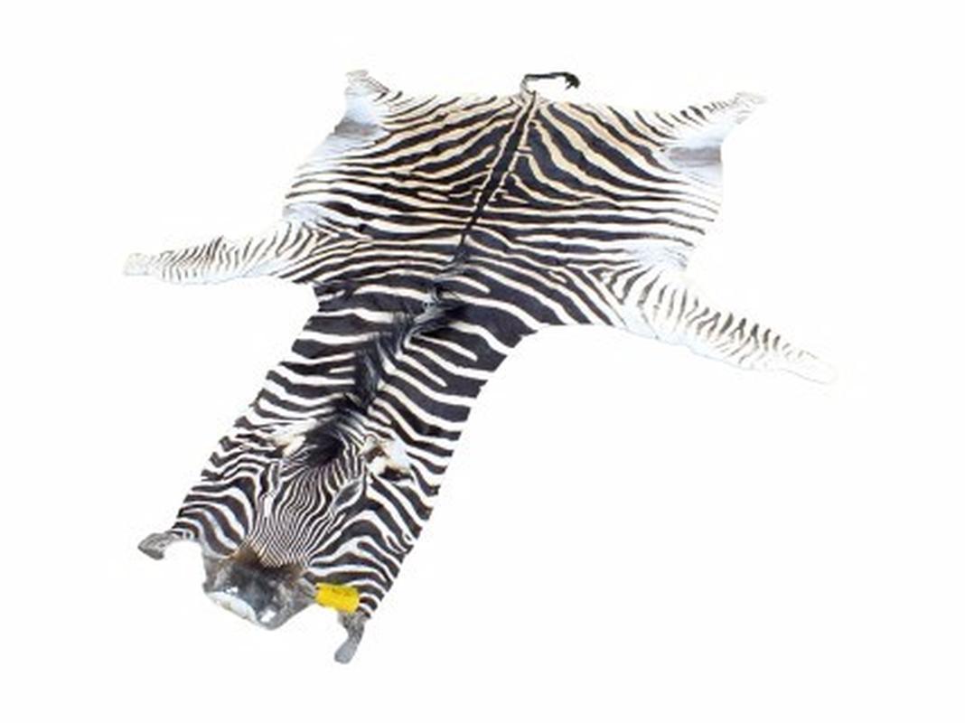 Zebra Skin For Sale - Z09 - Image 2