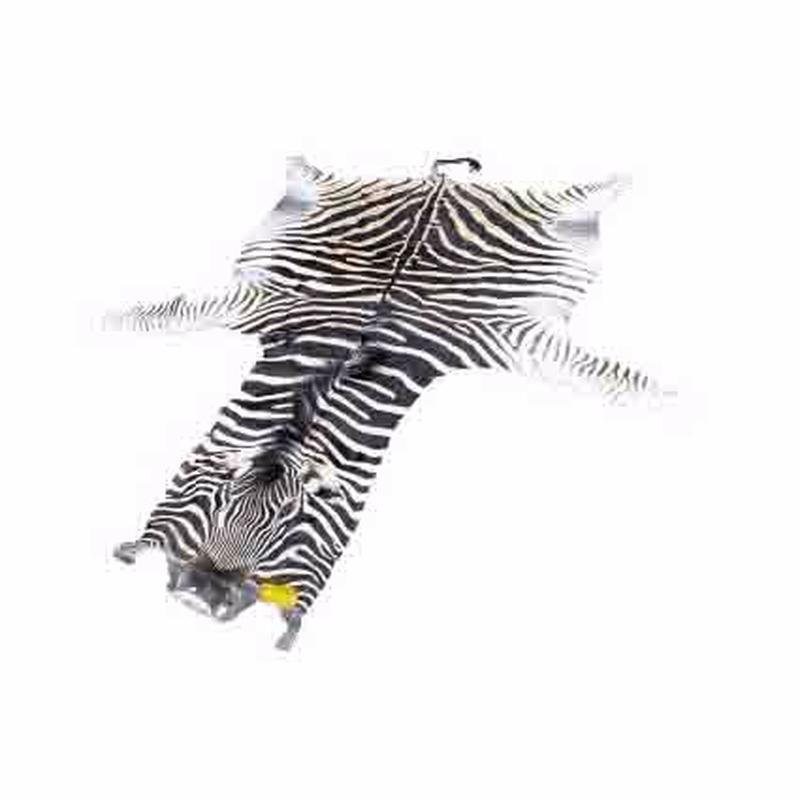 Zebra Skin For Sale - Z09