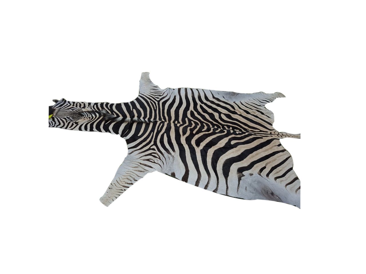 Zebra Skin PA - 01