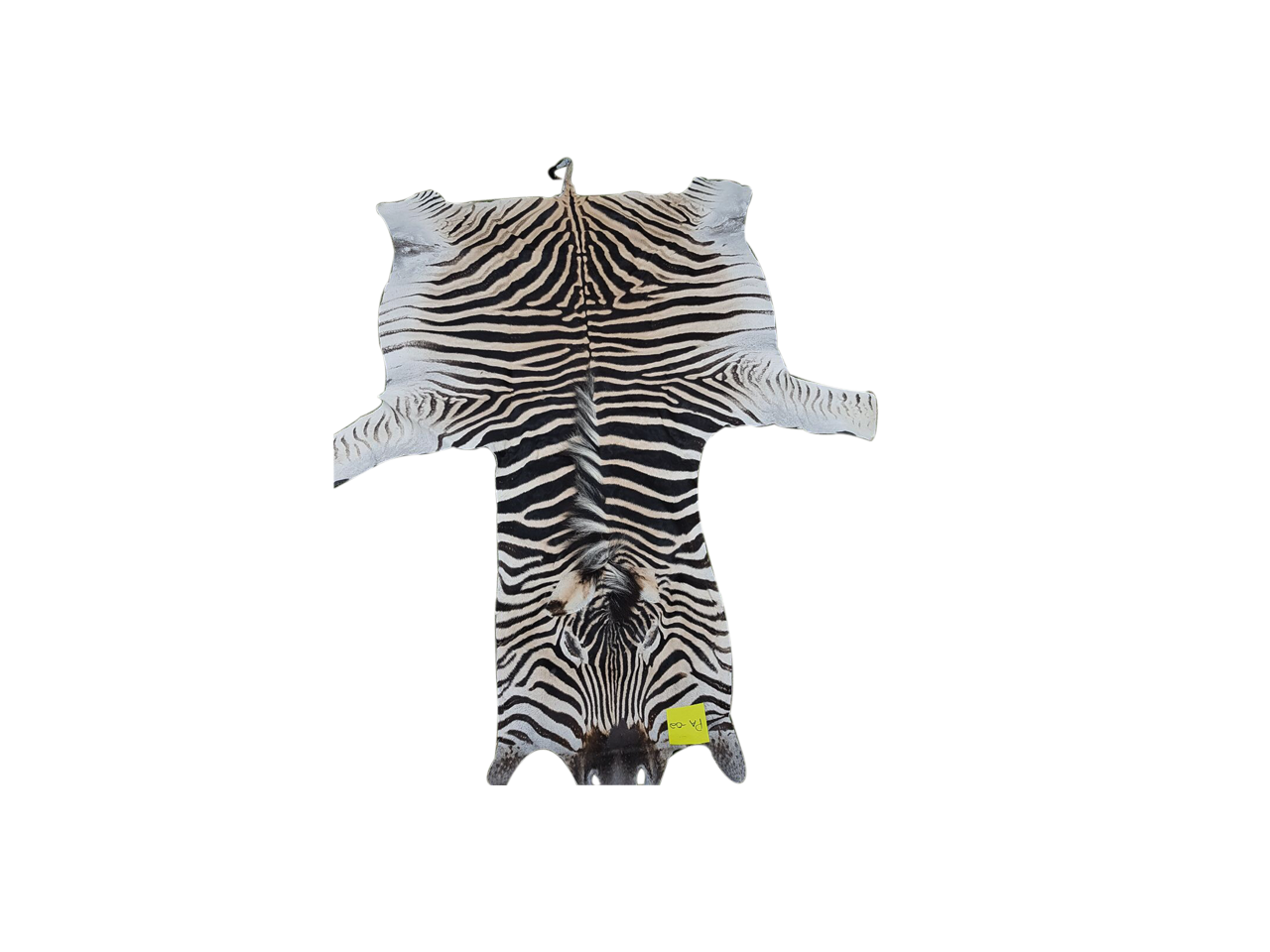 Zebra Skin PA - 02