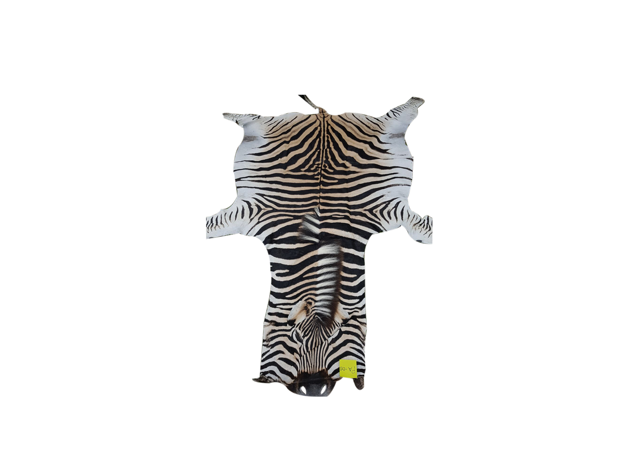 Zebra Skin PA - 03