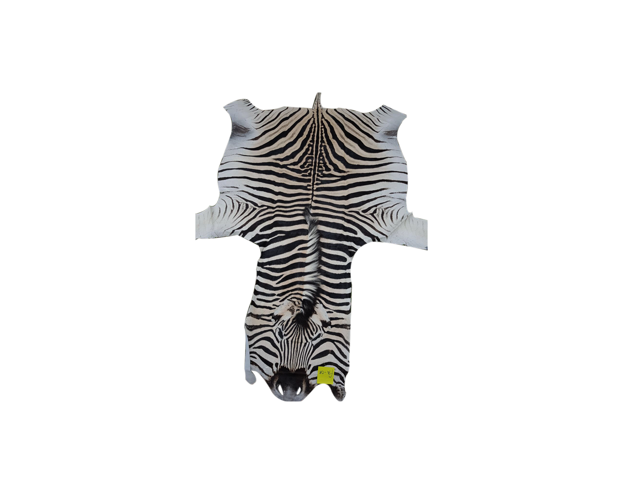 Zebra Skin PA - 06 - Image 2