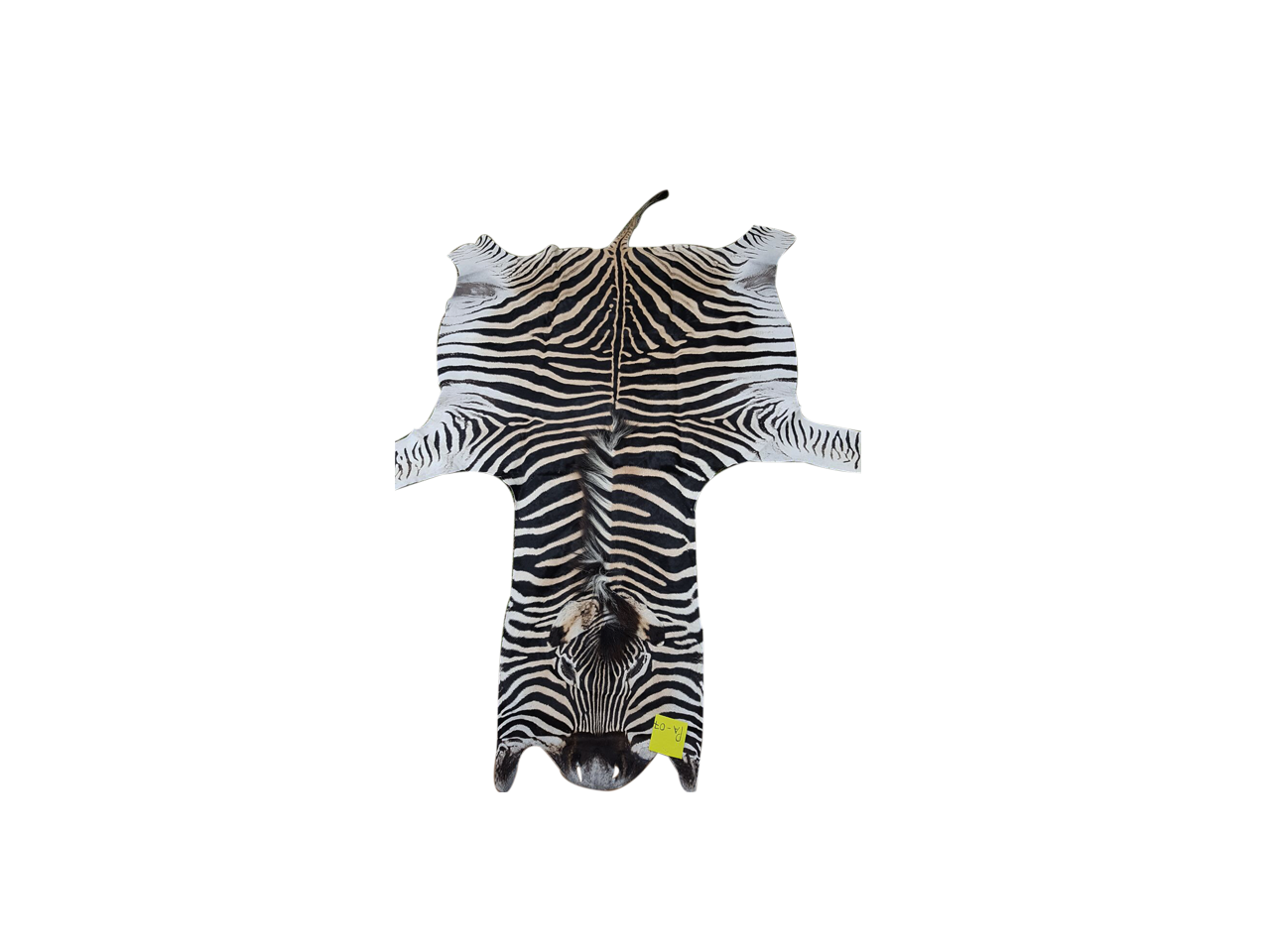 Zebra Skin PA - 07