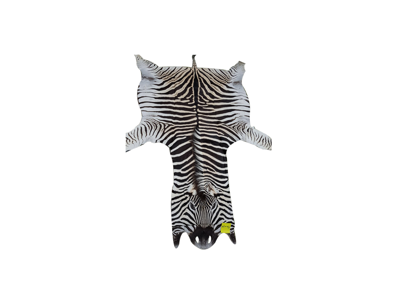 Zebra Skin PA - 09