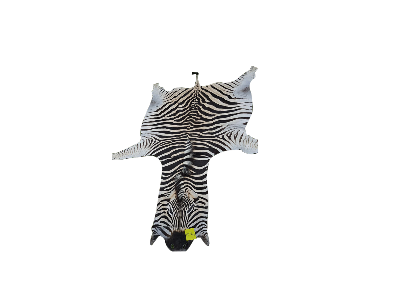 Zebra Skin PA - 10 - Image 2
