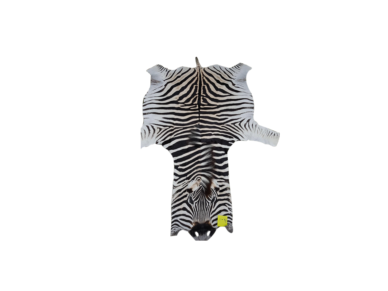 Zebra Skin PA - 11 - Image 2