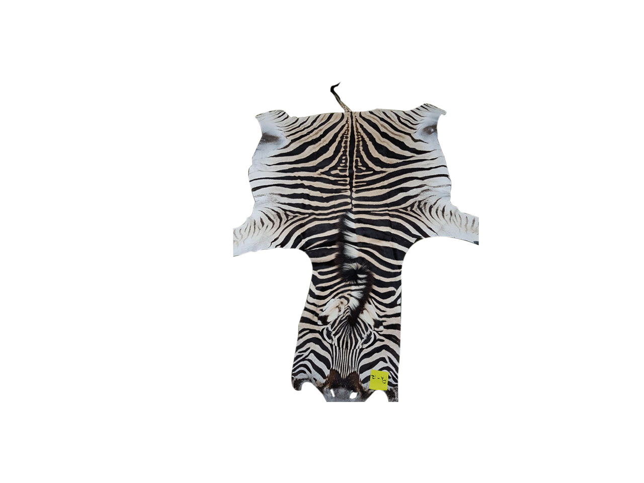 Zebra Skin PA - 12