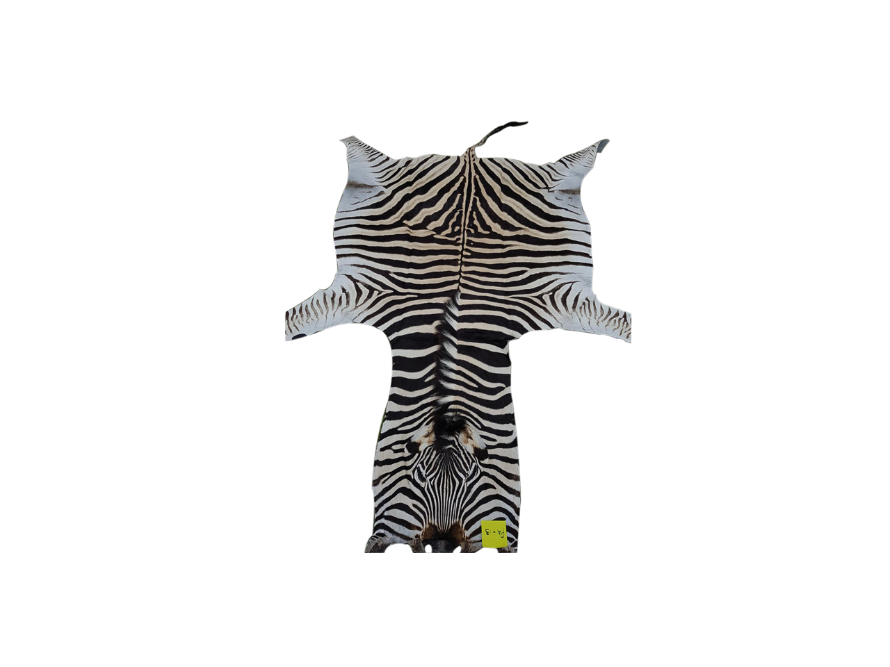 Zebra Skin PA - 13