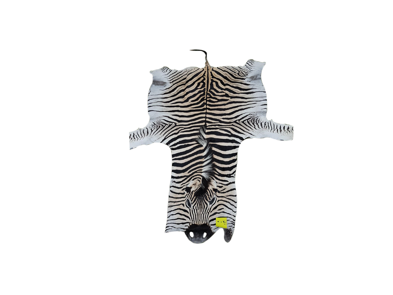 Zebra Skin PA - 14 - Image 2