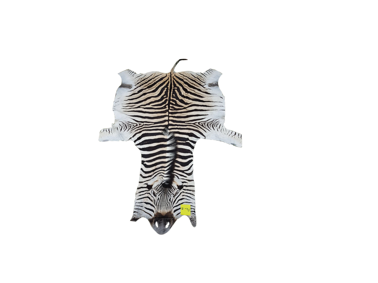 Zebra Skin PA - 15