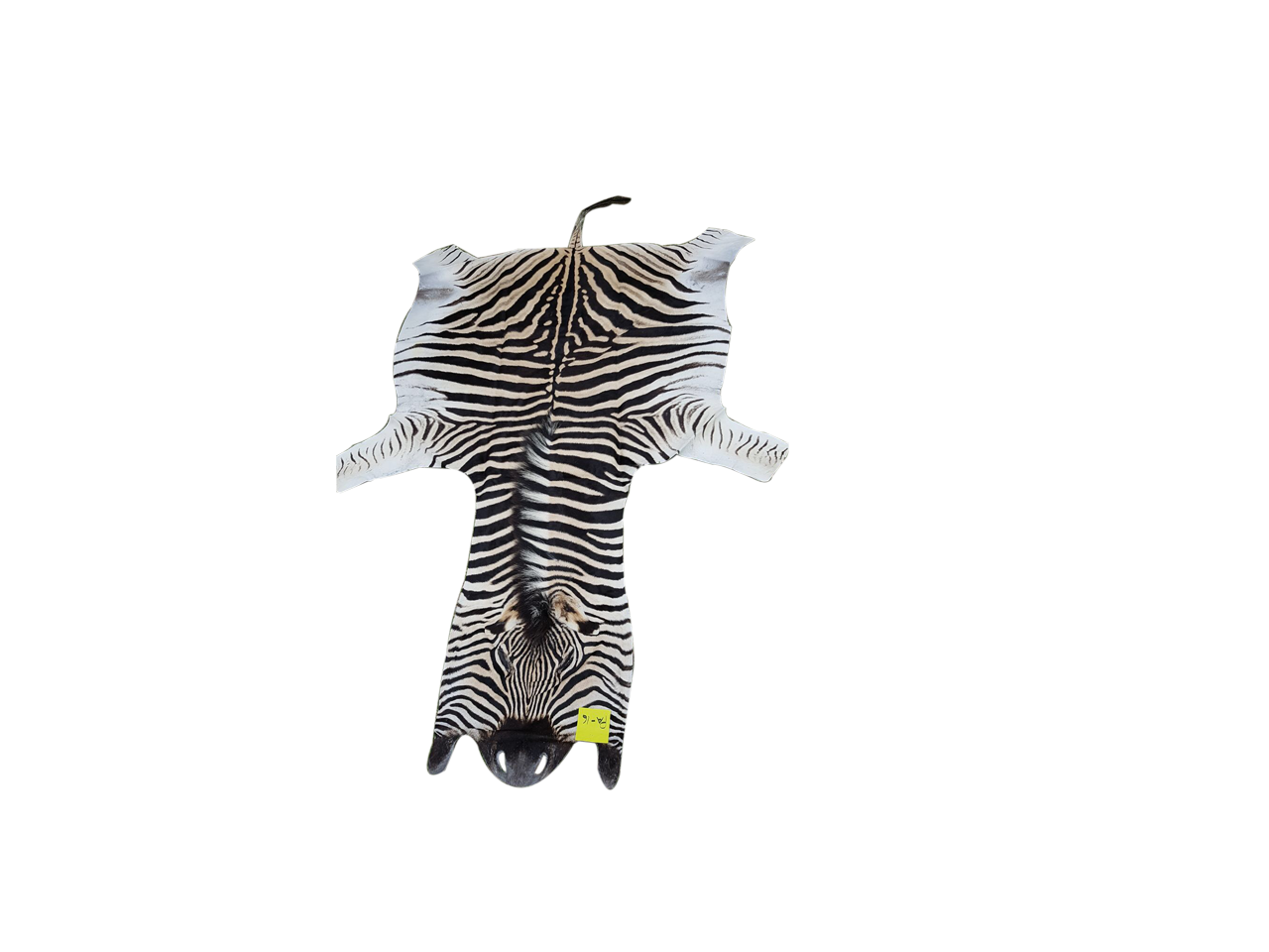 Zebra Skin PA - 16 - Image 2