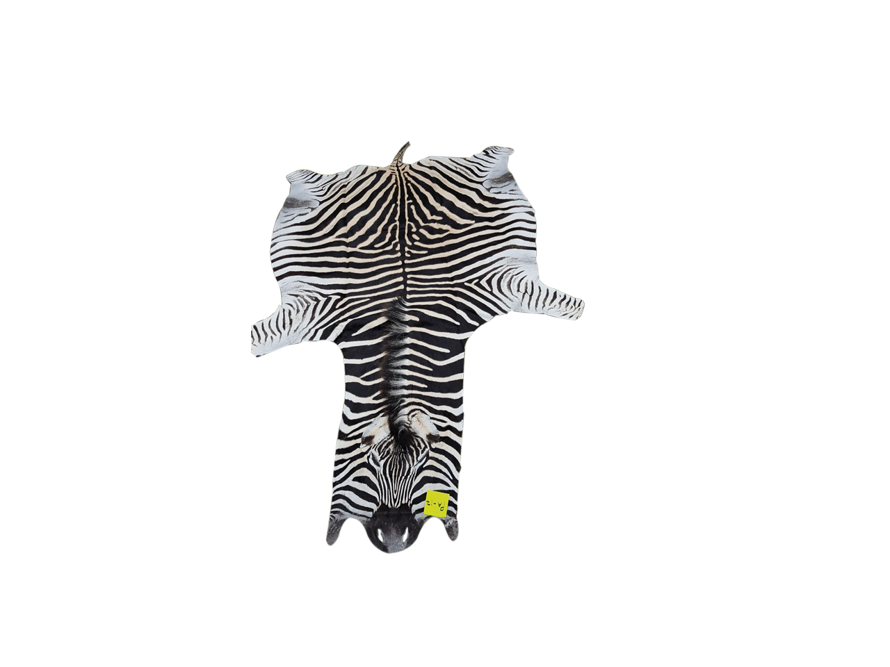 Zebra Skin PA - 17 - Image 2
