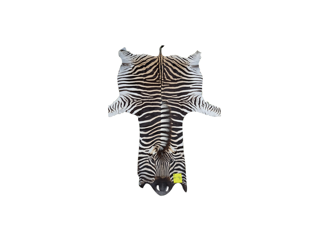 Zebra Skin PA - 19