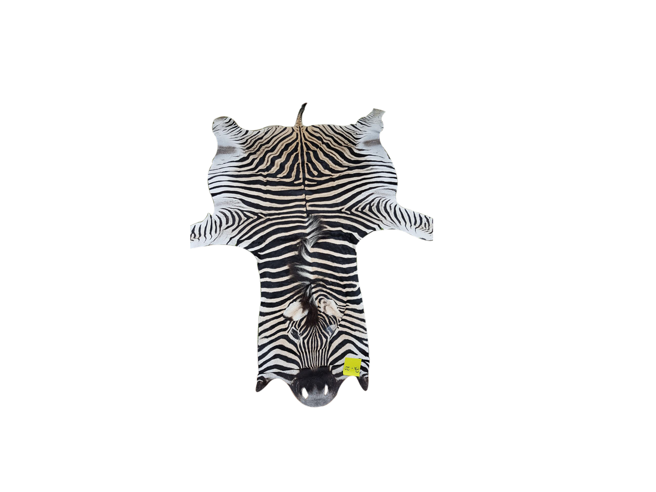 Zebra Skin PA - 20