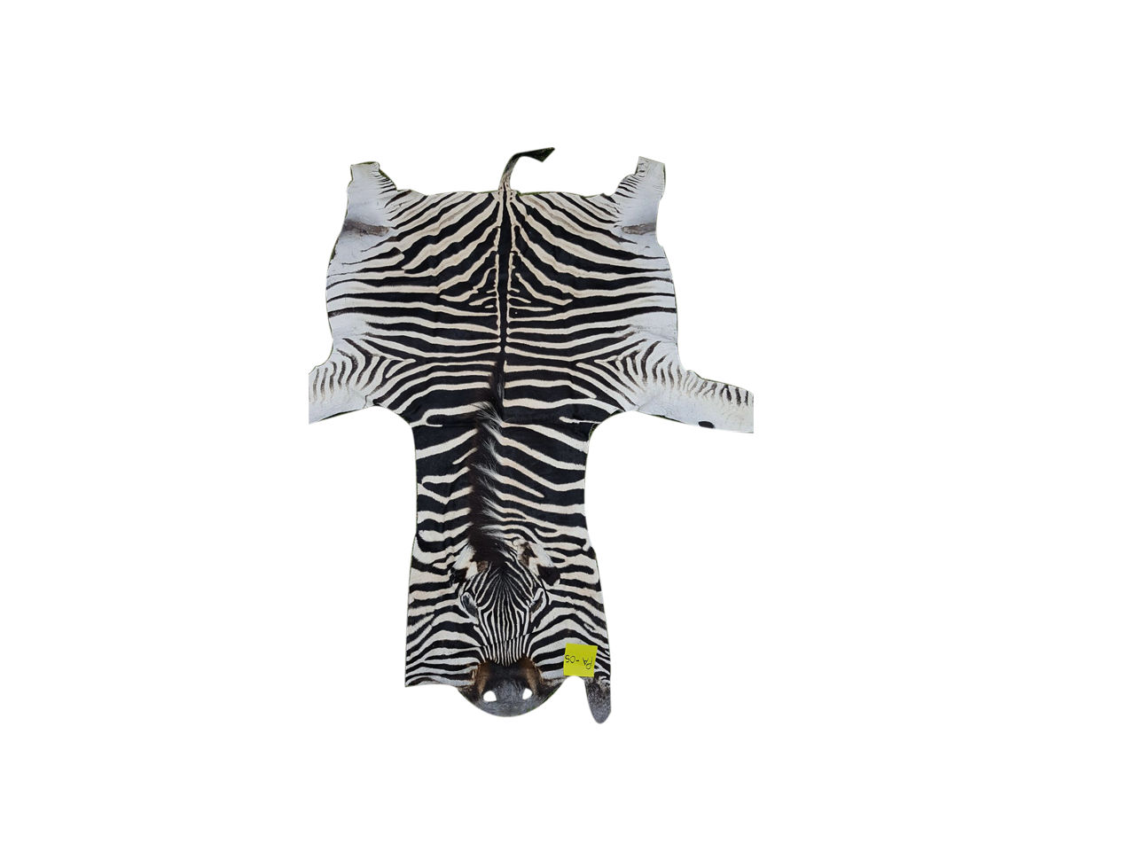 Zebra Skin PA - 95 - Image 2