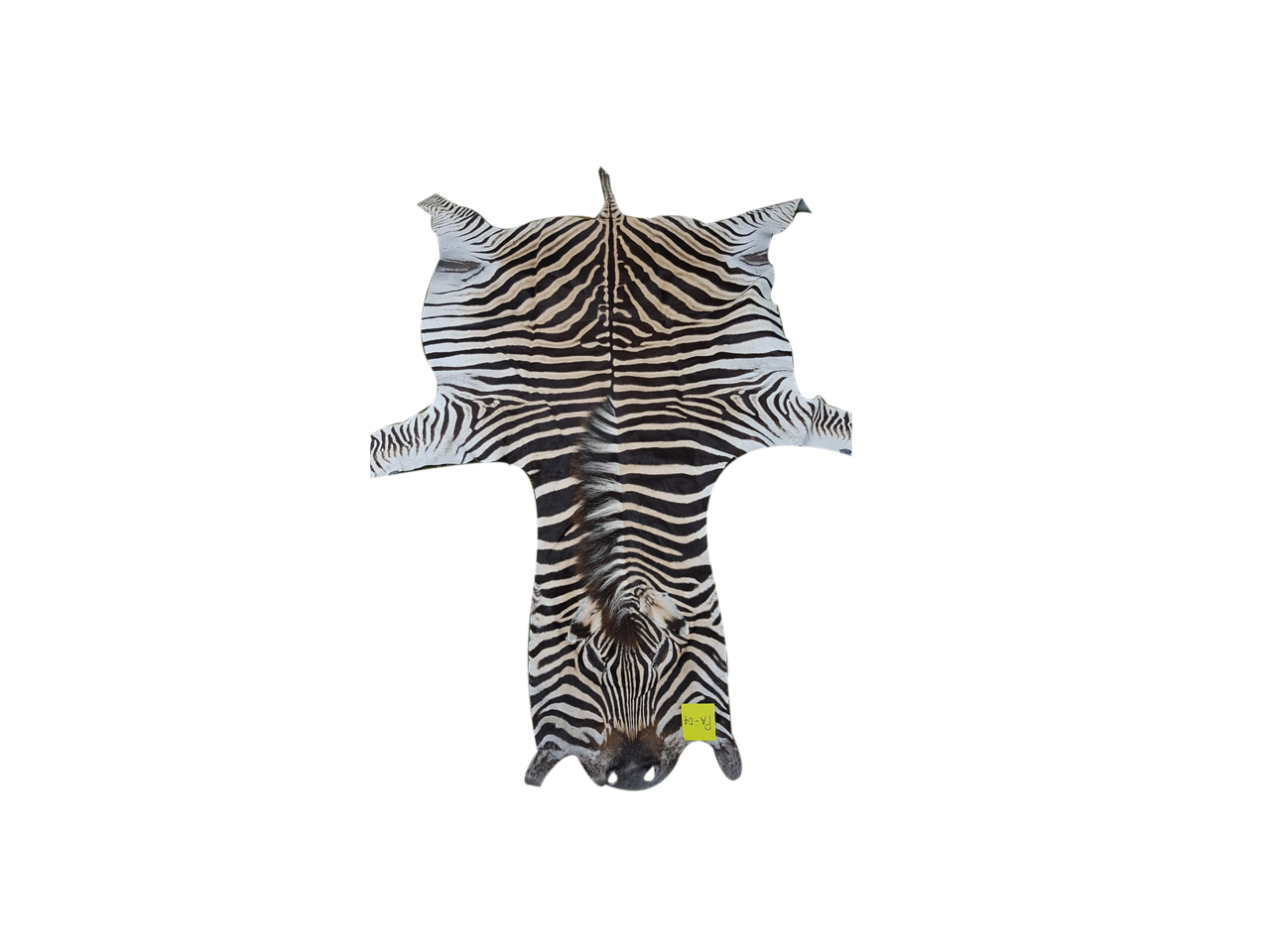 Zebra Skin PA - O4