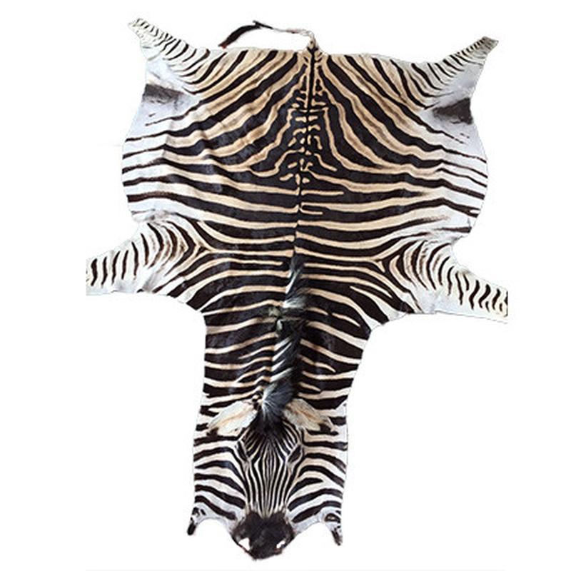 Zebra Skin ZS11
