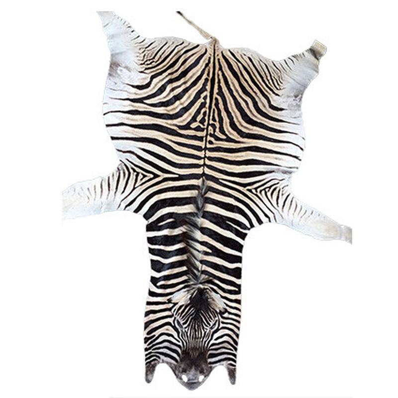 Zebra Skin ZS13